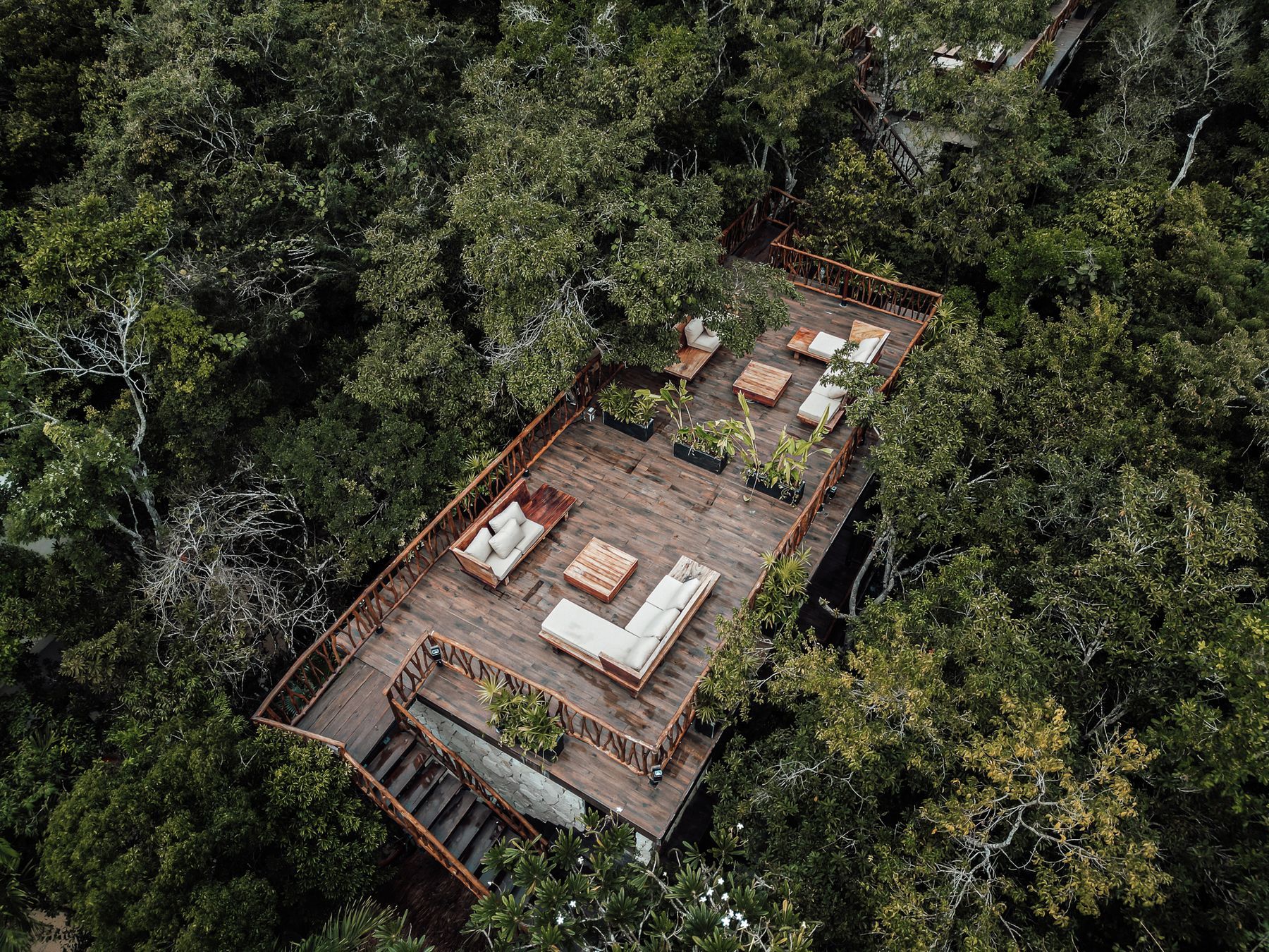 Private estate deck hidden in the jungle canopy